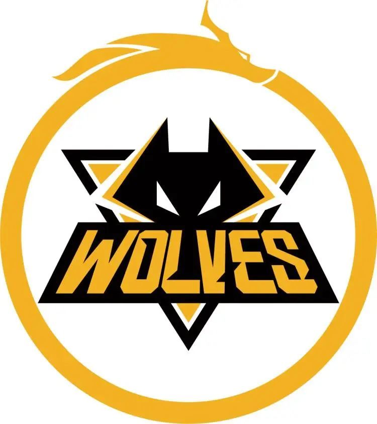 PGL在十年后重返克拉科夫